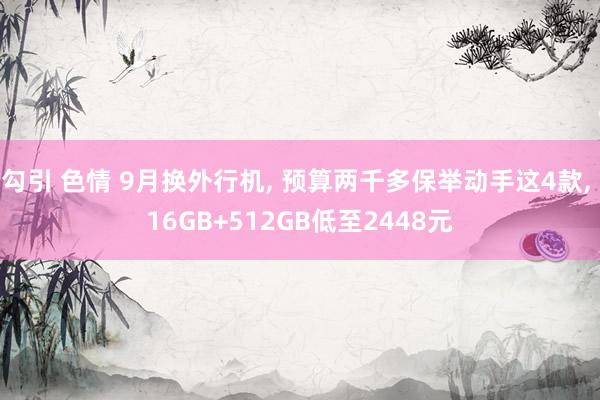 勾引 色情 9月换外行机， 预算两千多保举动手这4款， 16GB+512GB低至2448元