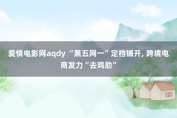 爱情电影网aqdy “黑五网一”定档铺开， 跨境电商发力“去鸡肋”