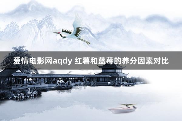 爱情电影网aqdy 红薯和蓝莓的养分因素对比