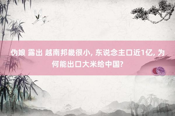 伪娘 露出 越南邦畿很小， 东说念主口近1亿， 为何能出口大米给中国?