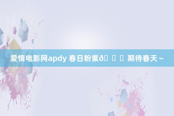 爱情电影网apdy 春日粉紫🍇期待春天～