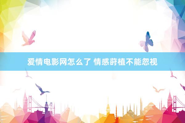 爱情电影网怎么了 情感莳植不能忽视